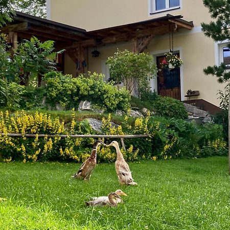 Heissgut Διαμέρισμα Altenmarkt im Pongau Εξωτερικό φωτογραφία