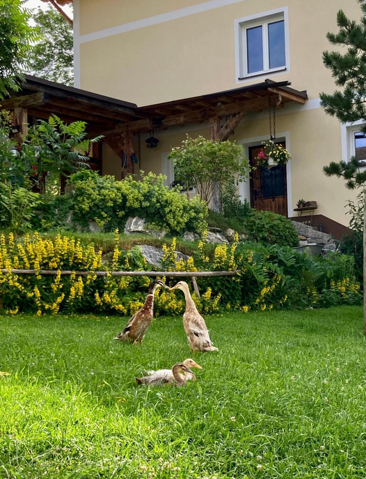 Heissgut Διαμέρισμα Altenmarkt im Pongau Εξωτερικό φωτογραφία