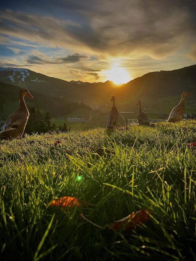 Heissgut Διαμέρισμα Altenmarkt im Pongau Εξωτερικό φωτογραφία